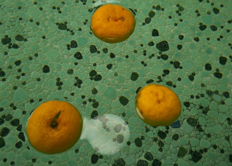 aba32550's tweet photo. @RyokanH 
 #WinterSolstice plan  　Dec.21st
" Traditional Annual Event Petit Experience Plan " 

Special features:
    #Yuzu ( aromatic citron) bath and #pumpkin dishes. 

People say if you have a hot bath  with yuzu, and eat pumpkins on Winter Solstice, you won’t catch a cold. https://t.co/bP0nIz4aBH