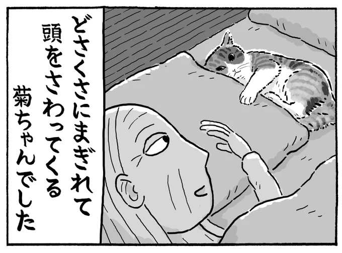 最後のコマの文字、間違えてしまいました。
「頭をさわてくる」→「頭をさわってくる」です。すみません 