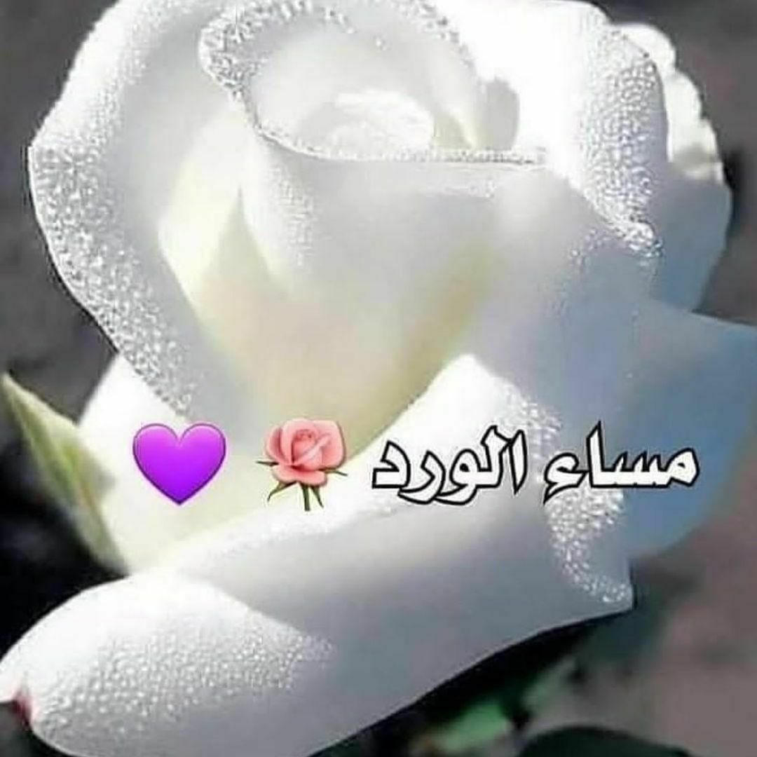 الحياة كتابة في دفتر الأيام ..
  ليس المهم أن يكون خطك رائعاً.. المهم .. أن تترك في دفتر الأيام .. ما يستحق  القراءة.. 

مسهم بالخير والرضى