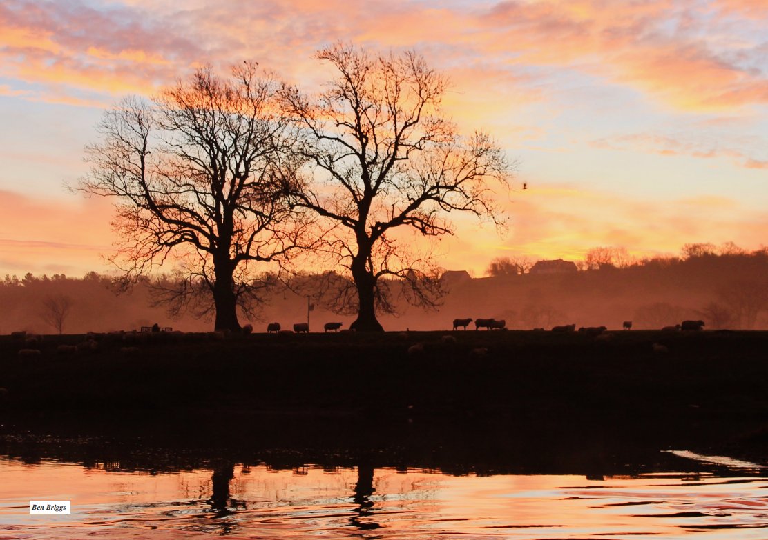 Check out the #amazing photography in the Ribchester #calendar !
fluidic.co.uk/p/31205/ribche…
Please help fundraise for the PTFA to fund much needed opportunities for the children of Ribchester. 
#School #Photography #Landscape