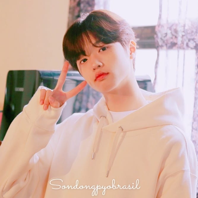 SON DONGPYO BRASIL 🐧🇧🇷 tweet media