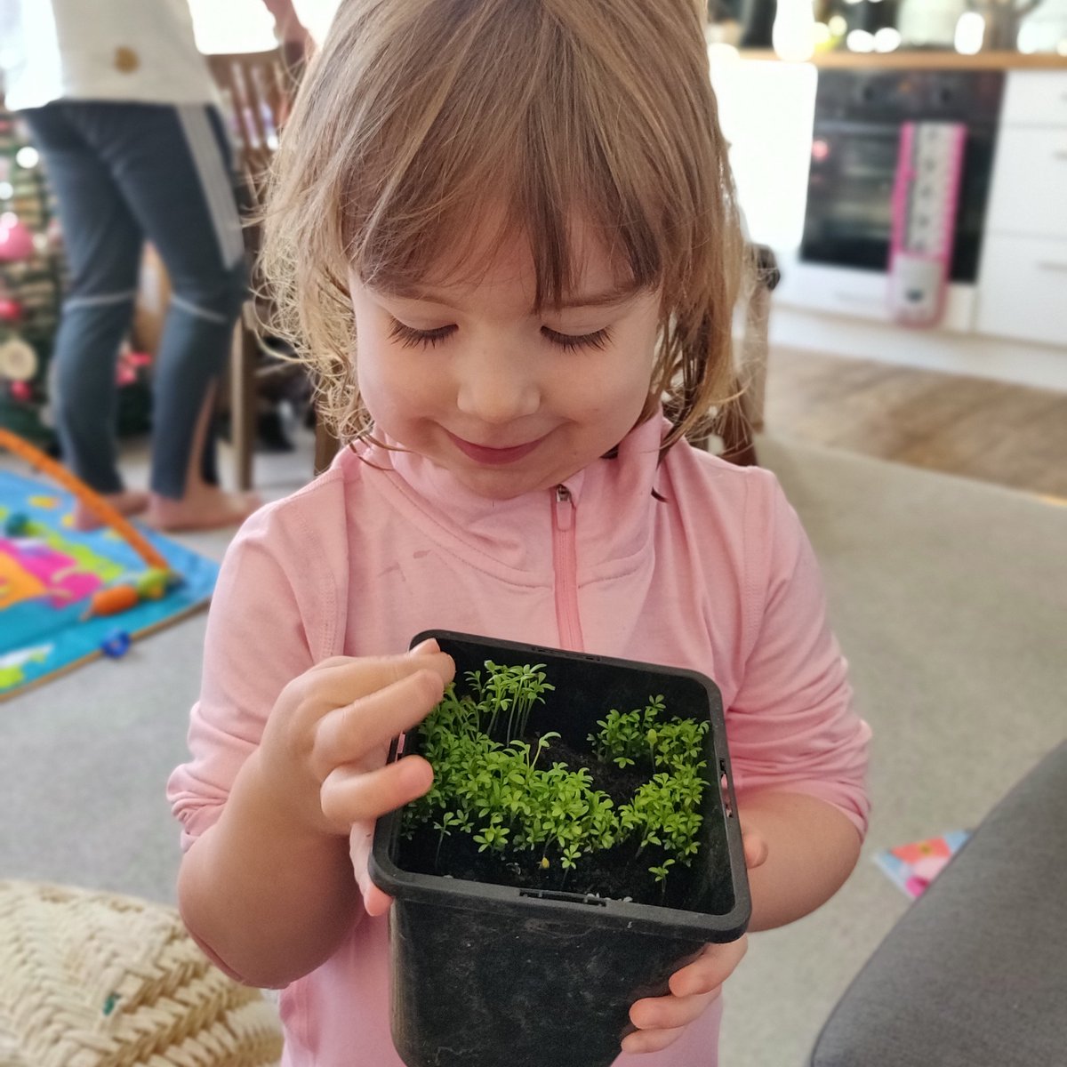 Laura Stewart tweet media