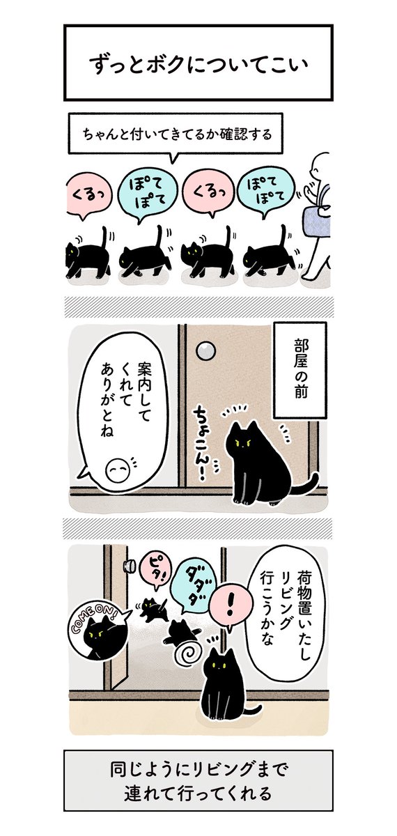 帰宅するとねこが急いで追い抜いてきて、そのままなぜか家の中を先導してくれる絵日記
#ろんの絵日記 