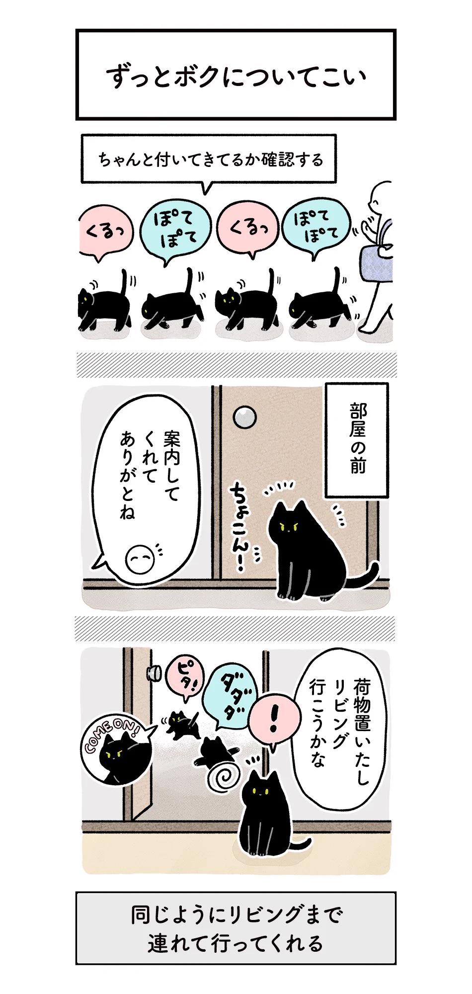 猫ってこういうとこある？帰宅すると急いで追い抜いて家の中を先導してくれるｗｗ