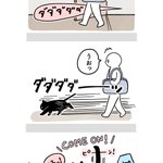 猫ってこういうとこある？帰宅すると急いで追い抜いて家の中を先導してくれるw