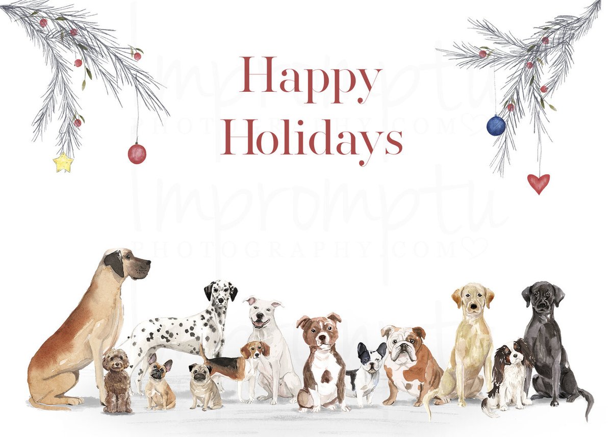 trinityobitches's tweet photo. May your holidays be merry &amp; bright. 🎄🎼🍽🎉 🕎#BRIGHTenUpTheWorld #HappyChanukah ##MerryChristmas #Kwanzaa https://t.co/N1xbAzCXxf