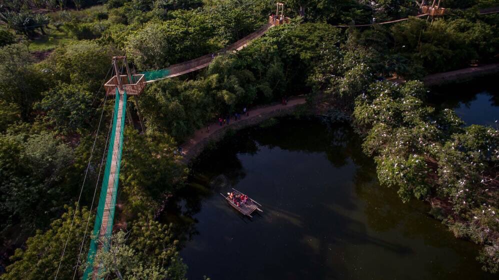 Legon Botanical Gardens   https://goo.gl/maps/yXHk5jemdCz +233262366167