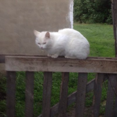 #НовыйАватар