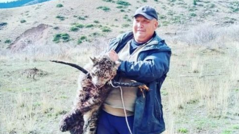 YakovFedorov's tweet photo. Фактчекинг.

Человек спас хромого и слепого барса в Кыргызстане и передал экологам, где его выходили. А в сети вместо благодарности устроили его травлю за "убийство" барса. https://t.co/S2UoXyvqVR