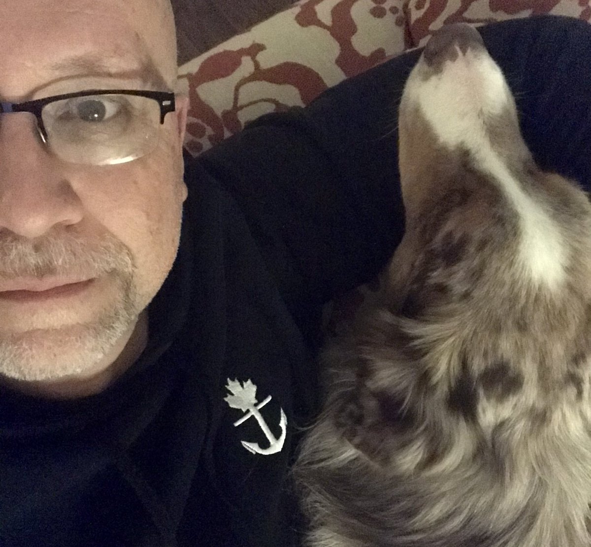 markspowart17's tweet photo. The work year is slowly winding down, I imagine there will be much more of this over the next few weeks, along with day outings with dogs and cameras in tow. #weekendvibes #aussieshepard #DogsofTwittter #mychair #ldnont #canine #dog #pet #photographer #photoglife https://t.co/xxG4cUxKh7
