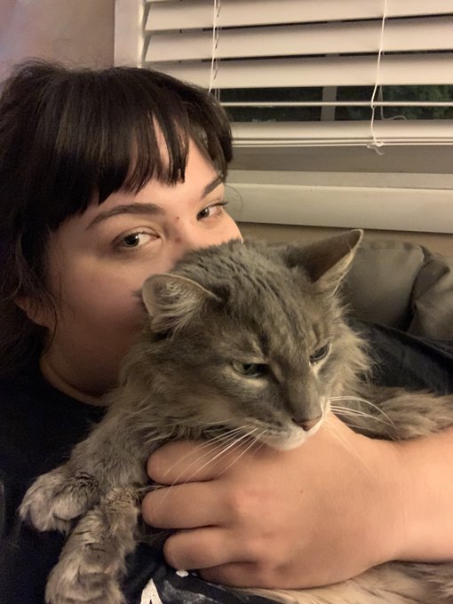 This week I drove 18 hours round trip to pick up my childhood cat from my parent&rsquo;s house cause they thought<a href="/tag/mvsales"class="tags"><span>#mvsales</span></a>