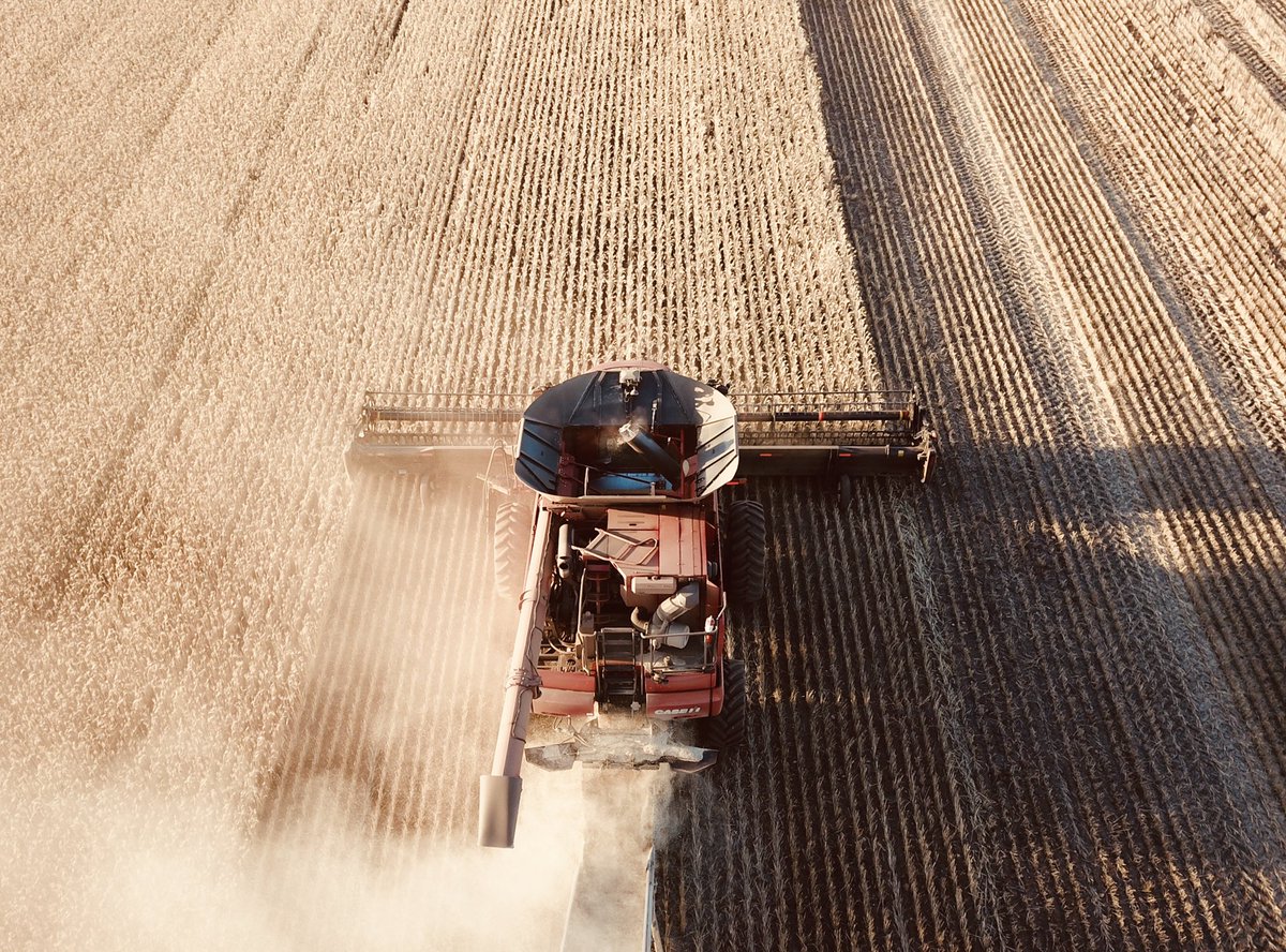 Can’t say I did too much to help out this year, but amazing to see what we can grow from a rather dry and challenging year. #wheat #aussieag