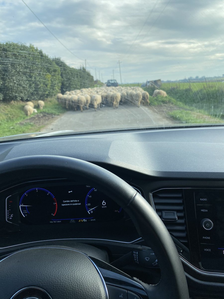 jakob7gp's tweet photo. #vaccination #FluShots on the road #ruralgp #countrydoc #HerdImmunity π https://t.co/RLgImDsK6m https://t.co/YGq0oryUdg