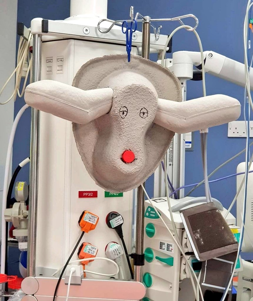 iseeupets's tweet photo. Reindeers spotted in our ICU 😋  
https://t.co/l2x8dagT7N #iseeupets #Christmas #XmasLove #xmasreindeer #Reindeer #ReindeerReady #healthcareheroes #ICU #iculibertysingers #icm #ics2020 @drfrocester @RebeccaOfford @gloshospitals #Christmaspets https://t.co/04kdQXVqVi