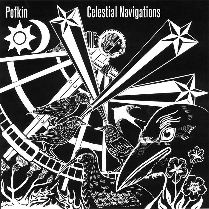 #7  @featheredgothic Pefkin - Celestial NavigationA chilling, enerving piece of art. Let yourself fall or stand in awe before the beauty of those soundscapes and the vox humana h.c.