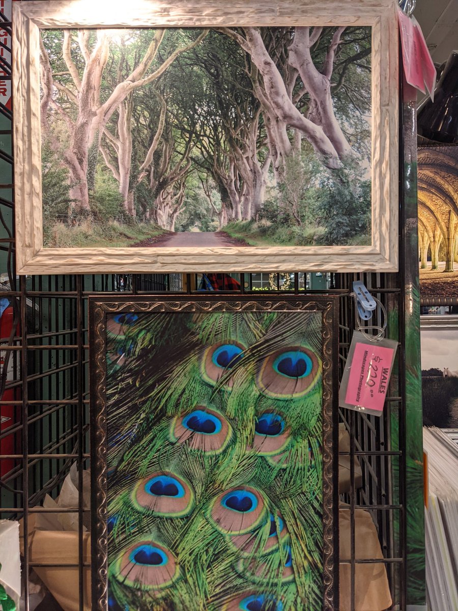 Daimonzaka's tweet photo. Hey,Edmonton!Today I'm sending a shoutout to those of you I've been hearing about in the news who are buying local &amp; passing it on.Kudos!May I suggest a purchase of scenic photography @ my market booth &amp;donating it to 1 of our city's charities for a silent auction item?Regifting! https://t.co/i6UgTwFZOW