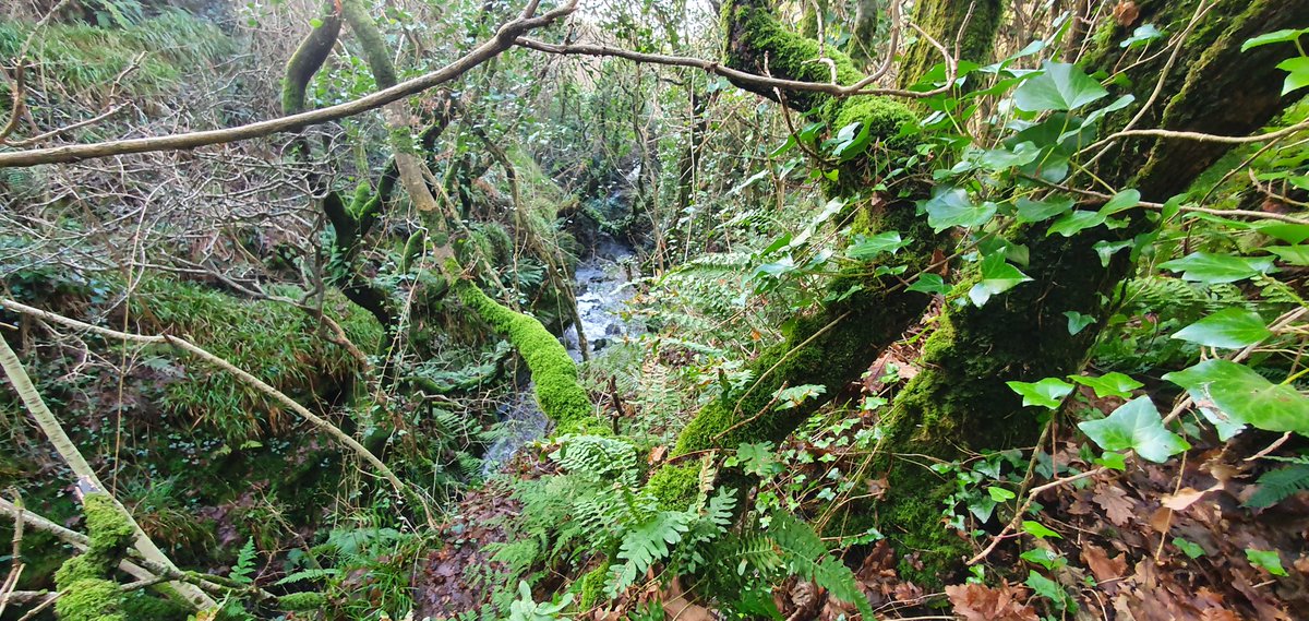 PoulaphucaPóll a' Phuca"The Hole of Ghosts"The dog went wandering off yesterday so I wandered after him, into this hidden valley.