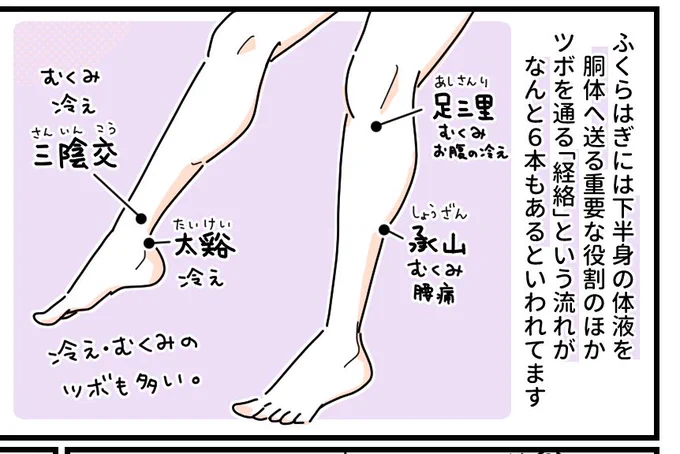 寒いな!下半身冷えてるな!って時は「足首」「ふくらはぎ」を温めるといいんやって。このあたりには冷えやむくみ改善のツボがいくつもあるのだ。

ツボ押しはもちろんのこと、ふくらはぎや足首を動かすのもいいよ〜お布団の中とかでもやってみてね! 