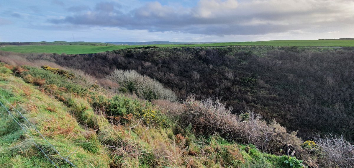 Sheer valley walls drop into a gorge from an otherwise fairly flat landscape.An accidental nature reserve.