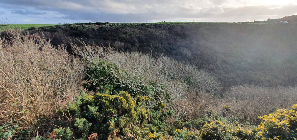 Sheer valley walls drop into a gorge from an otherwise fairly flat landscape.An accidental nature reserve.