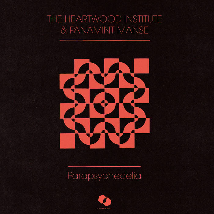 #11 The  @Heartwood9 Institute and  @panamintmanse ParapsychedeliaA concept album on ESP. Dark and groovy, with an odd 70s touch. Should be played at Erich van Däniken Fan Conventions.Seriously! Tons of fun!