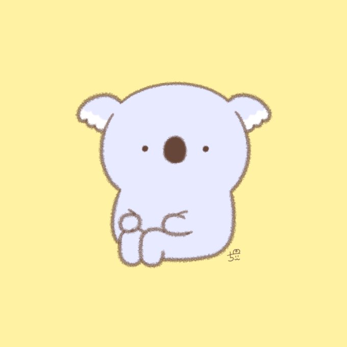 コアラ 高画質 のtwitterイラスト検索結果 古い順