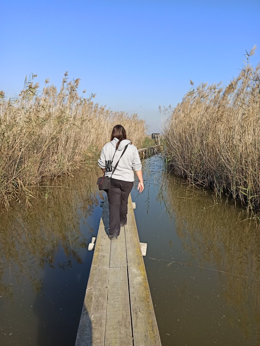 scootatrip's tweet photo. En Scootatrip no sólo vamos en #moto #scooter, sino paseos a pie por parajes naturales como #ElHondo de #Elche #Crevillente. Fantásticas visitas a la #Naturaleza, un #plandefinde para practicar #birdwatching. #viajarenmoto #rutaenmoto @GVAparcs @visitelche https://t.co/LtEIvM3wm4