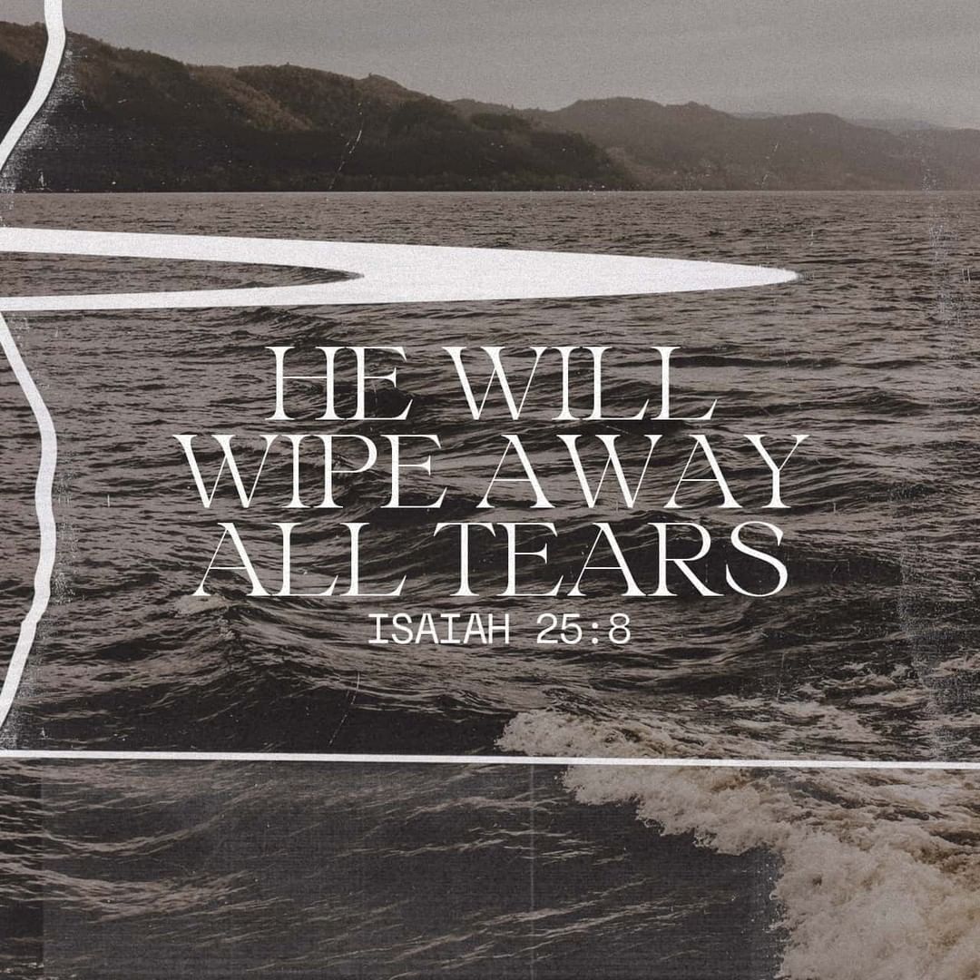 He will swallow up death in victory; and the Lord God will wipe away tears from off all faces; and the rebuke of his people shall he take away from off all the earth: for the Lord hath spoken it. ✝️🙏