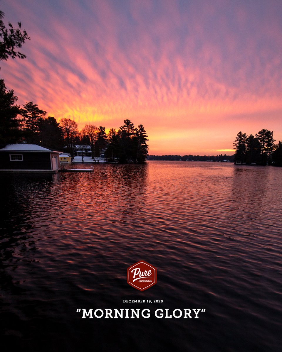 Pure Muskoka tweet media