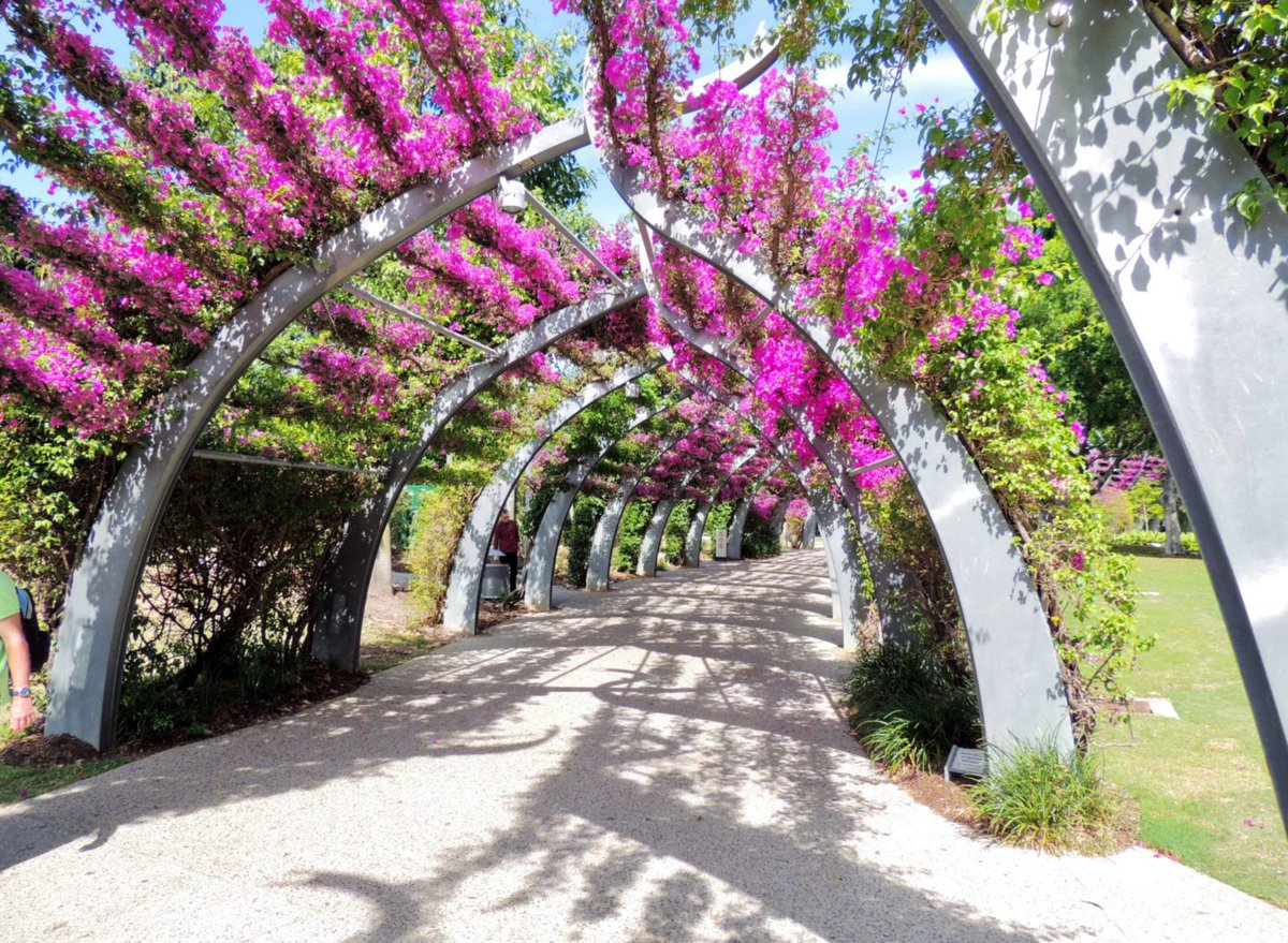 The Grand Arbour and Wheel of Brisbane in the Southbank Parklands