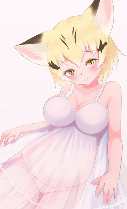 ベビードールスナネコ 