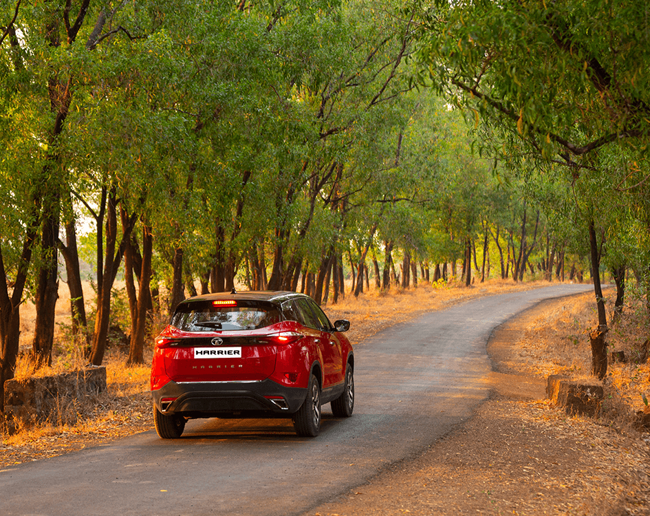 kamnagercoil's tweet photo. Buy TATA Harrier from Kumaran Automobiles TATA Car Dealer in  #nagercoil #marthandam Call 9442635707
https://t.co/GF5VIsqTKr https://t.co/deFPz7T3xE