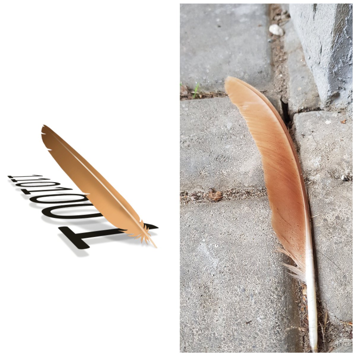 Just found an <a href="/asfbookkeeper/">Apache BookKeeper</a> in my garden 🤣