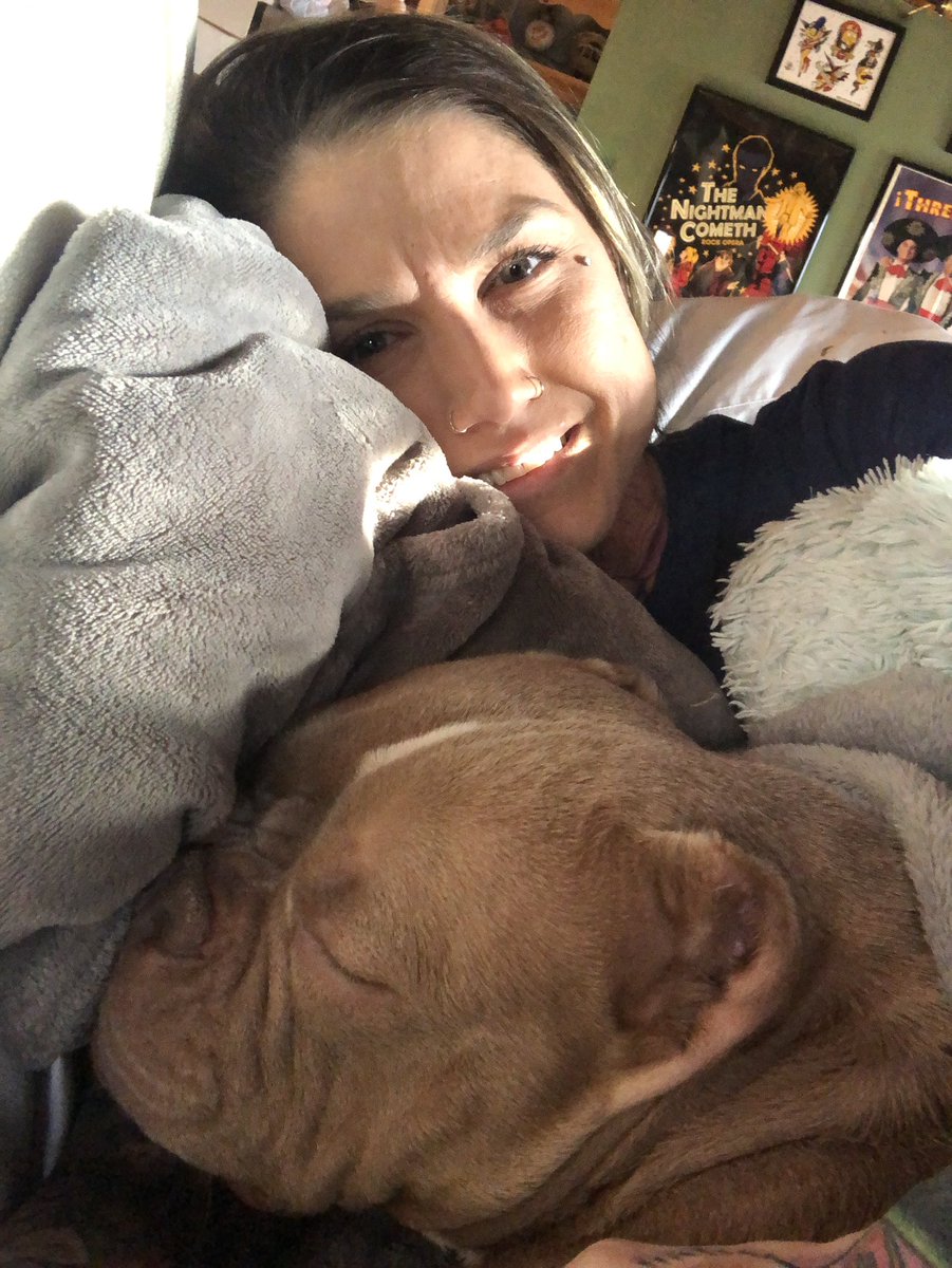 KarryKassi's tweet image. This little pygmy hippo is so sweet 💙#microbully