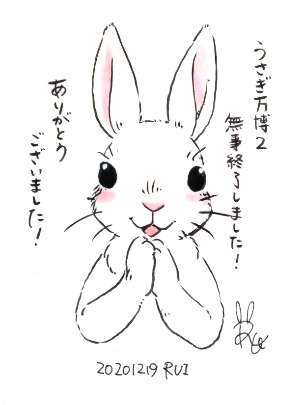 Rui Magictheater Pa Twitter うさぎ万博2終了しました うさぎの絵 手書きイラスト うさぎイラスト ウサギイラスト うさぎのイラスト ウサギのイラスト 一日一絵 日めくりイラスト らくがき