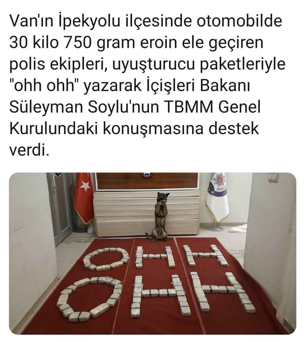 Bizim aslanlarda varya 👏👏👏