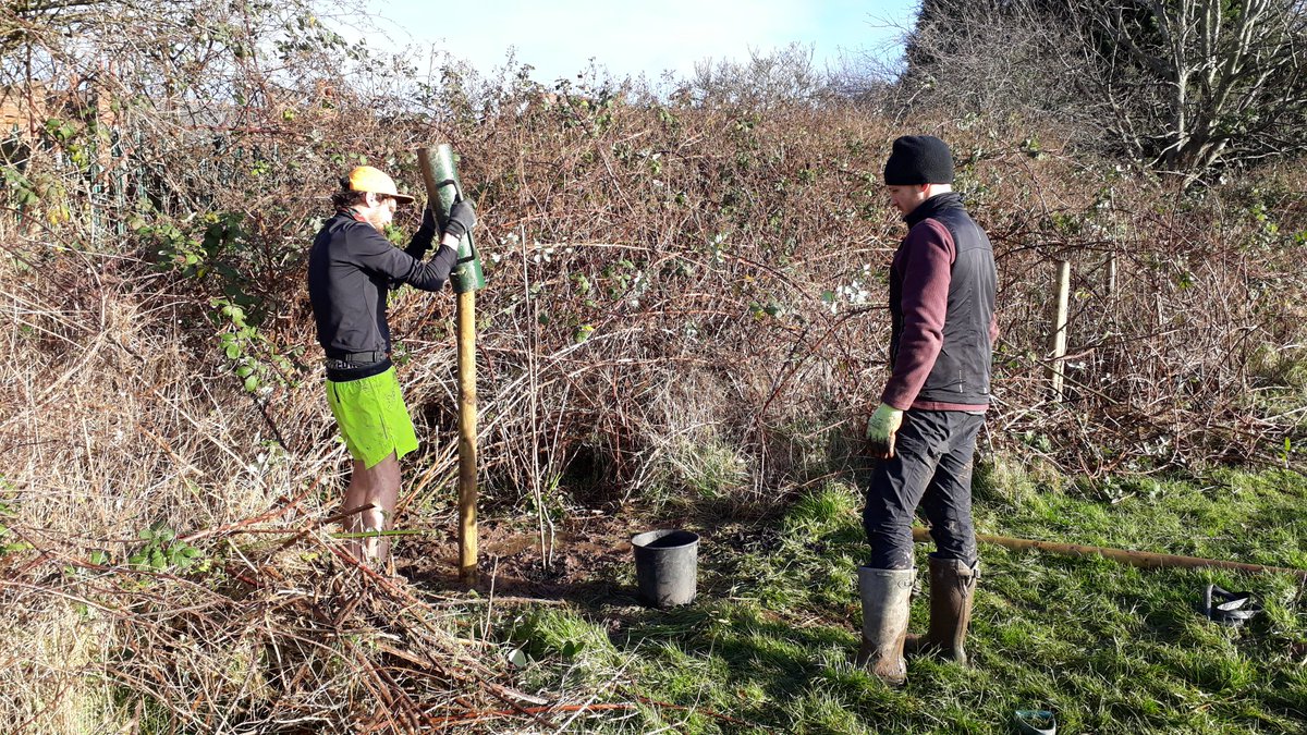 We finished the planting on #NewlandsRun #HazelwellPark #Stirchley today. Great work team! Now...the real work begins... pruning, weeding, mulching, watering (!)