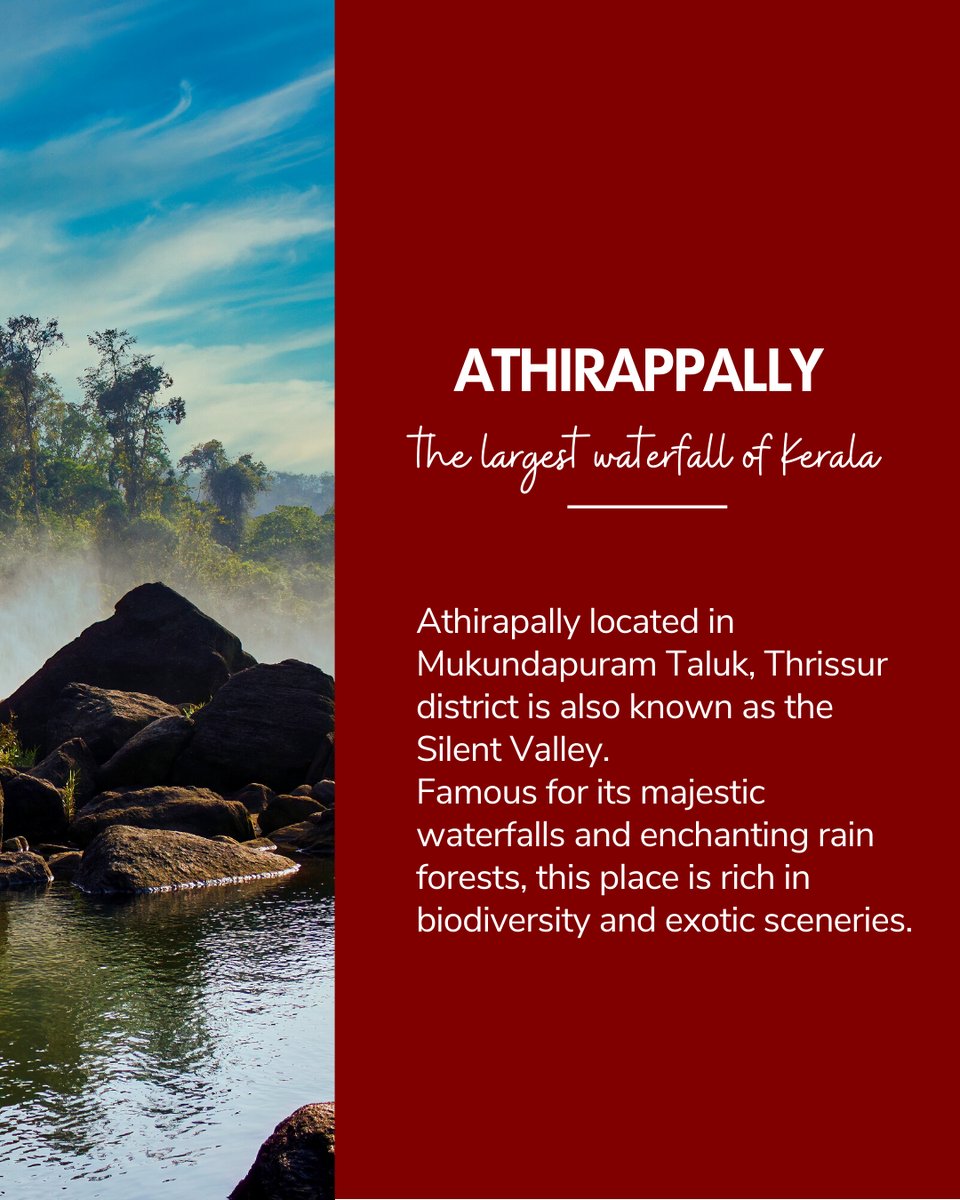 Travelxpdotcom's tweet photo. Witness the exuberating beauty of this mighty waterfall in the "God's Own Country"

#Travelxpdotcom #Kerala #Athirappally #largestwaterfall #Athirappallywaterfalls #Athirappallydiaries #Keralatourism #Keralaattraction #Keralagodsowncountry #travelKerala  #travel #travelIndia https://t.co/GyZxHmxEOc