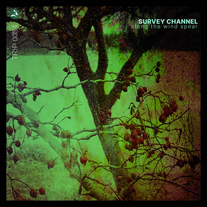 #29  @survey_channel - Along the Wind Spear.Wine, Dance, Love...caught in a piece of amber, rotating in the setting sun...sorry, it got away with me....lovely album, bittersweet.