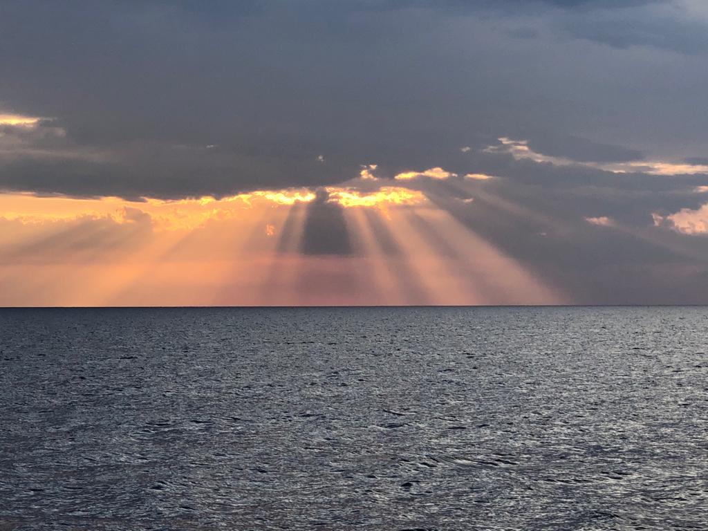 Qui in USA confermata la notizia che Babbo Natale ha già fatto due dosi di vaccino e sta caricando le slitte. Troverà poco traffico quindi forse arriverà pure un pò prima. 
Quest'anno fatevi trovare a casa.