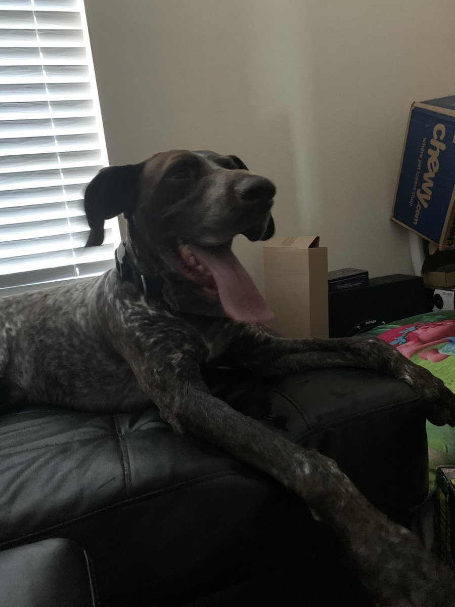 Who thinks they are alone???   I’m always here.  Retweet it and let’s not forget the sacrifices some have made.  Call me if you need to chat or text me I don’t care either way we’re in the together!!! (912)270-3726 <a href="/Fx3Inc/">🇺🇸 FX3 Inc. 🇺🇸</a>