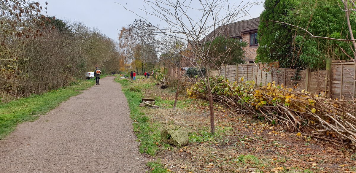 MCC_NT's tweet photo. Our #volunteers have been doing some hedge laying recently. A traditional countryside skill that is rarely seen these days. Not only does it look good, it is also of great benefit to our native wildlife. Keep up the good work folks #nature #wildlife #Countryside #ecosystem https://t.co/Epi2vK5qpR