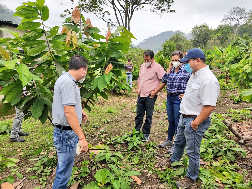 Agricultura Coordinación Zona 4 (@agricultura_cz4) on Twitter photo Como <a href="/AgriculturaEc/">Agricultura y Ganadería Ecuador 🇪🇨</a> junto al Gad Quiroga y el <a href="/INIAPECUADOR/">INIAP</a>, coordinamos acciones en el marco de la política pública agropecuaria en beneficio de los productores del territorio.
#SembramosFuturo
<a href="/fgarcia_pino/">Frank García Pino</a> Como <a href="/AgriculturaEc/">Agricultura y Ganadería Ecuador 🇪🇨</a> junto al Gad Quiroga y el <a href="/INIAPECUADOR/">INIAP</a>, coordinamos acciones en el marco de la política pública agropecuaria en beneficio de los productores del territorio.
#SembramosFuturo
<a href="/fgarcia_pino/">Frank García Pino</a>