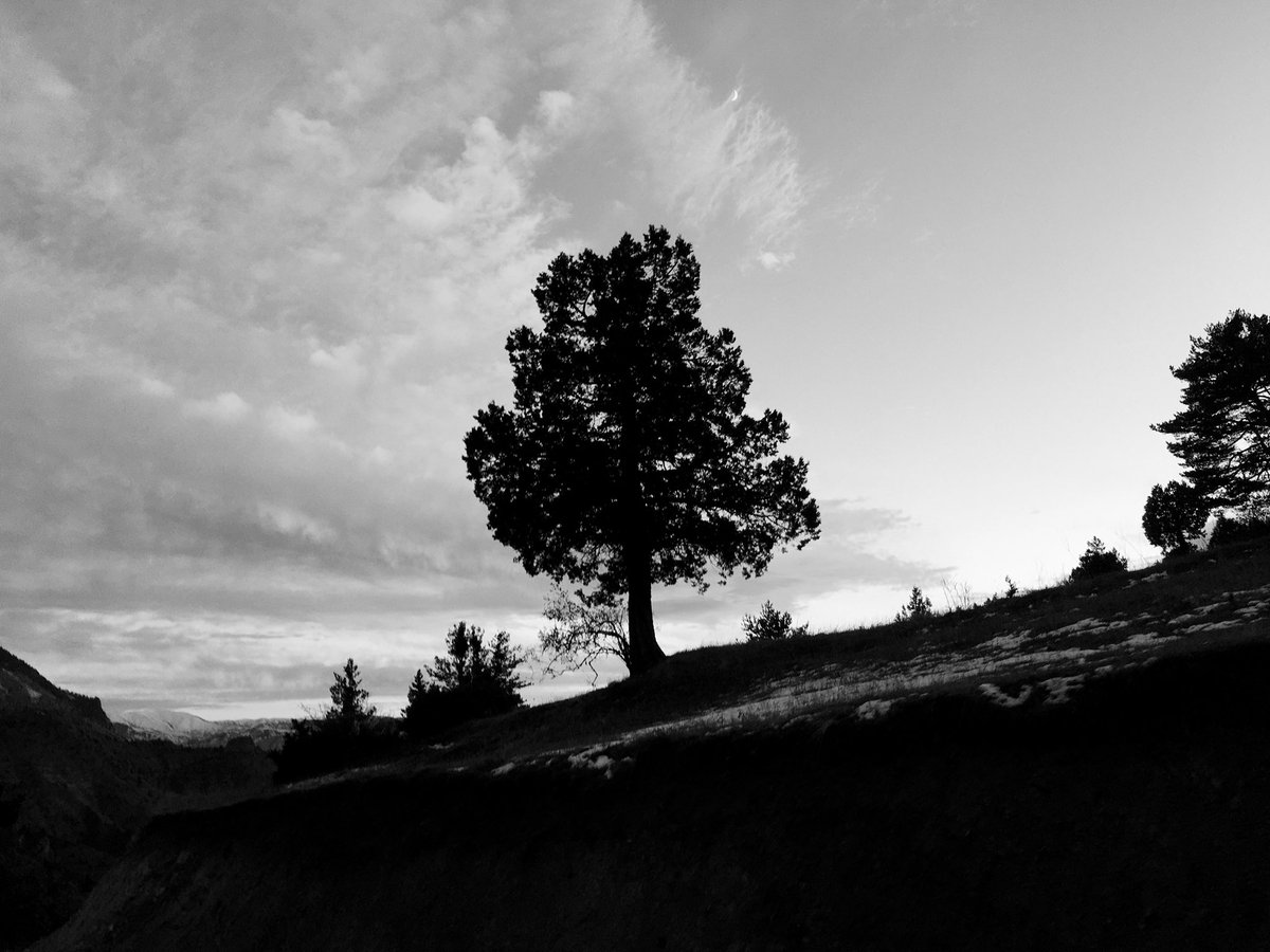 Aşkın gül açan bülbül öten vaktinde
Yârânla tarab, yâr ile vuslat dileriz.