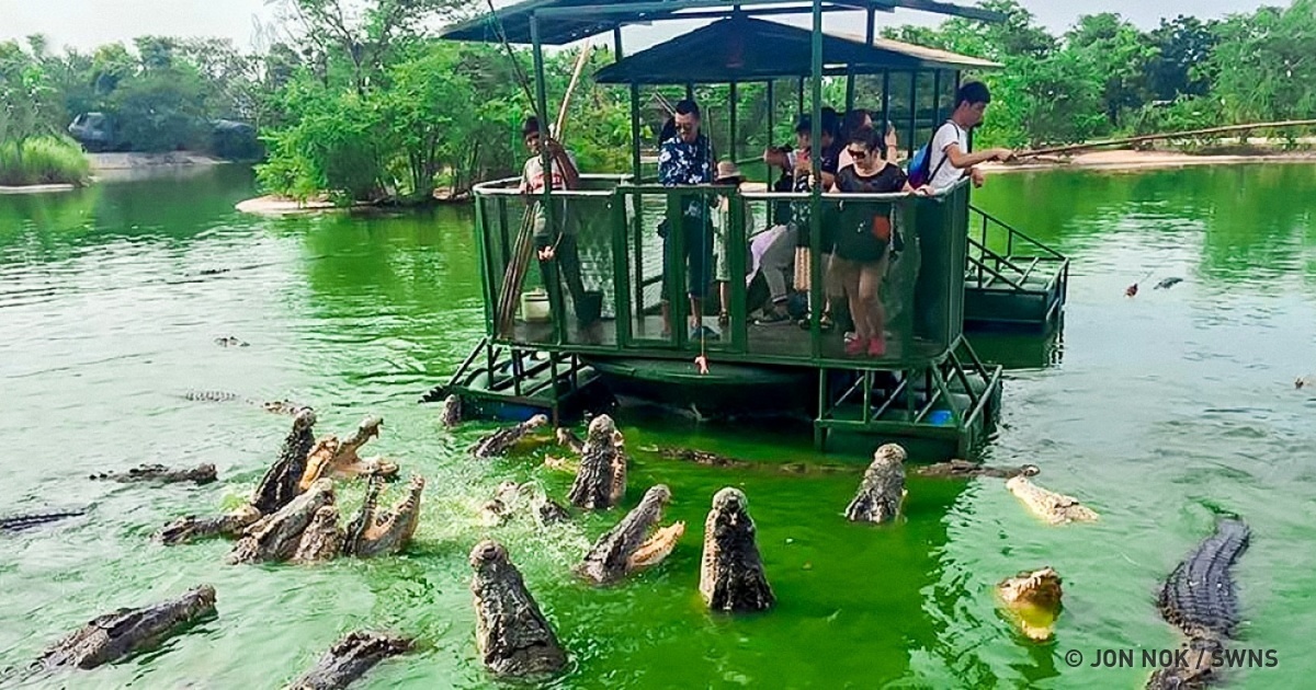 Jon Evan Glaser tweet media