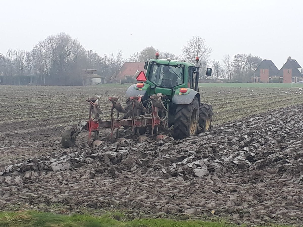 JeroenWinter's tweet photo. Vorige week de laatste oogstwerkzaamheden afgerond met het rooien van koolrapen in relatief mooie omstandigheden wat gevolgd werd door de ploeg. Deze week ook al volop kunnen afleveren. #vergetengroente #groningseknollen https://t.co/Rfei08Kd4W