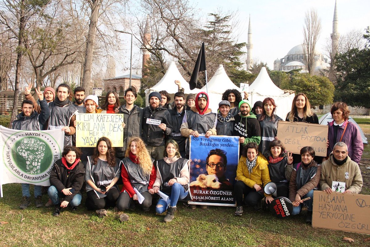 Yaşam Nöbeti eyleminin başlamasının ilk yıldönümünde destek olan herkese çok teşekkür ediyoruz ve ilerleyen süreçte destek olmak isteyen herkesi davet ediyoruz.