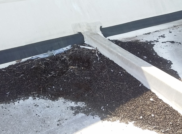 Tips and tricks for a successful roof inspection ow.ly/R2o850Cyxqz