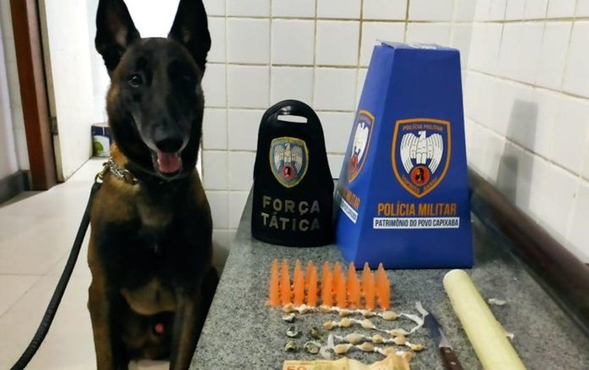 Proud police dogs showing off their design skills