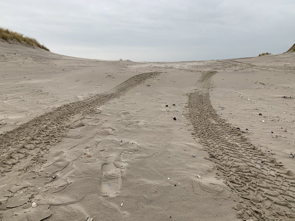 LRCTerschelling's tweet photo. !!!! Strandrijders opgelet !!!!
Het is kerstvakantie 🎄🎄🎄 en tijdens de kerstvakantie is het verboden om tussen 10.00 en 16.00 uur op het strand te rijden tussen paal 8 en paal 18.
Houd hier dus aub rekening mee. 
Fijne dagen gewenst namens de LRCT 🎄🍾 https://t.co/tE6u025PtZ